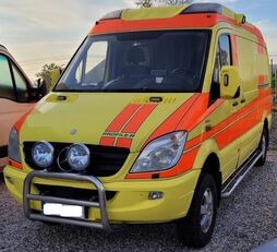 Mercedes-Benz SPRINTER ! 4x4 ! ambulans karetka ambulance